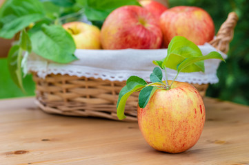 Red and yellow ripe apples Gala sort on wooden background