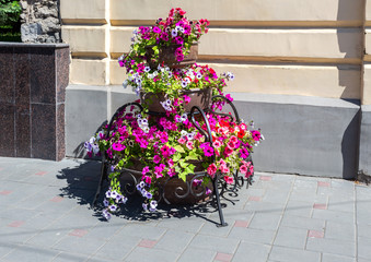 Fototapeta na wymiar Big pots with decorative flowers at the city street