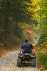 Man Rides ATV in the Woods