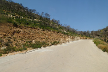 Greek mountain road, through an area which has been devastated by fire