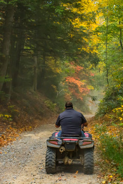 Man Rides ATV in the Woods