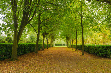 The Tree Cathedral, Whipsnade