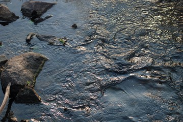 Babbling Brook and Sunlight