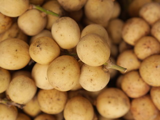 Wollongong From Thailand fruit Ready to eat From the tree In the garden Yellow gold