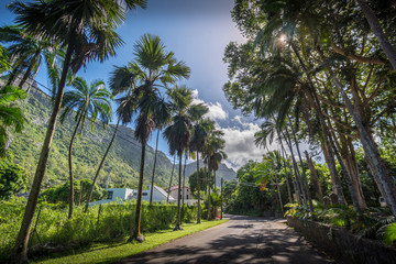 Roads on Mauritius island