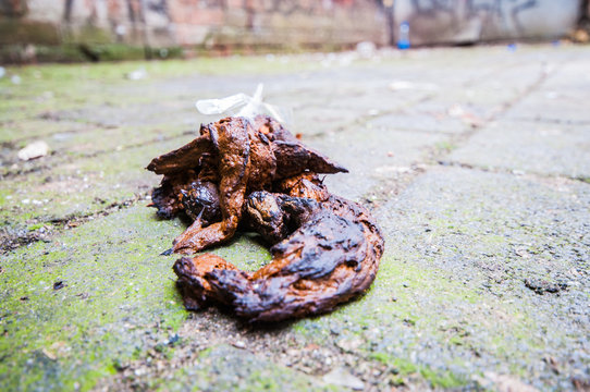 Human excrement on a city pavement following a Saturday night of drinking
