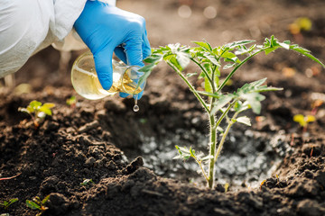 microbiologist adds fertilizer to the soil . The concept of soil quality and farming