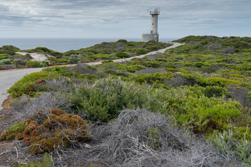 Fototapeta na wymiar Lighthouse within the amazing Torndirrup National Park close to Albany, Western Australia