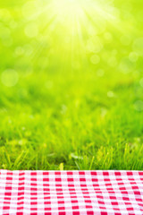 Red checkered tablecloth on green grass background