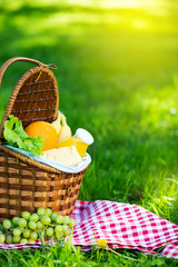Picnic basket with vegetarian food in summer park