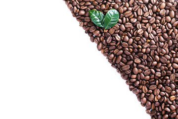 Coffee beans background