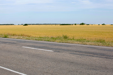 Deserted asphalt road with markings on the background of the field, outside the city on a sunny day