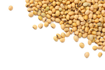 Soybeans isolated on white background. top view