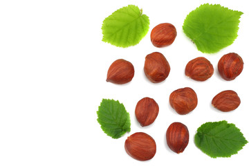 hazelnuts with leaves isolated on white background. top view