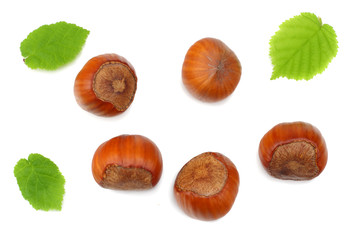 hazelnuts with leaves isolated on white background. top view