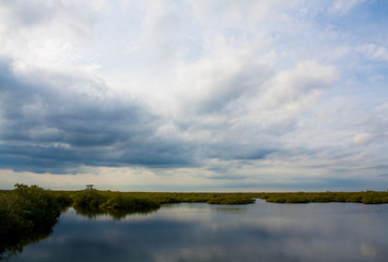 Florida wetlands 