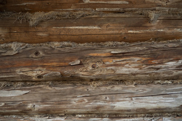 Plakat Wooden wall from logs of pine as a background texture.
