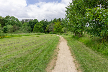 A Treelined Footpath into Scottish Woodland.