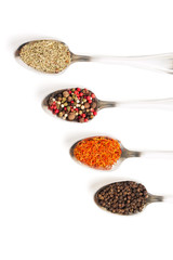 Different spices in iron spoons isolated on white