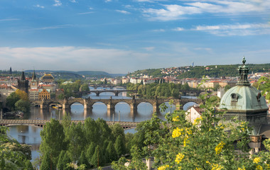 Obraz premium Vltava river with great bridges in Prague
