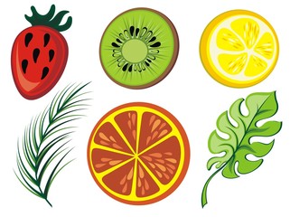 Summer icon collection. Vector tropical set with exotic fruit, leaves 