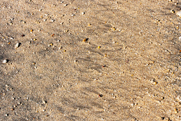 Sand on sea beach texture for background