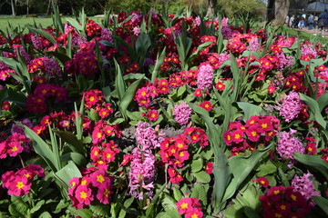 jardin des plantes de lille 