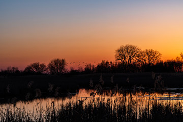 Lake side sunset bokeh with silhouette of nature