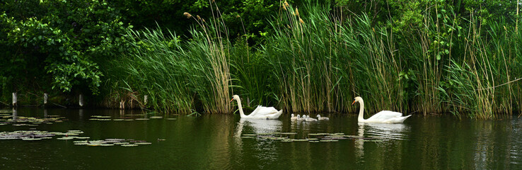 Landschaft 599 © K.-U. Häßler