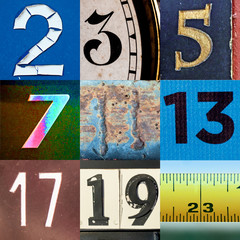 Collage of primary numbers from two to twenty three