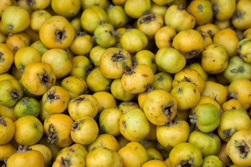 Wild fruit collected and sold in market