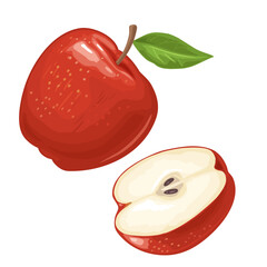Apple whole and half with leaf. Color flat illustration