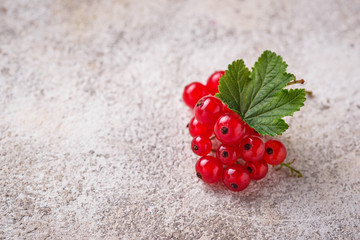 Ripe red currant berries and leaves