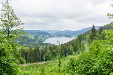 Titisee landschaft panorama. 