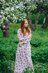 Fototapeta na wymiar Beautiful red-haired girl in a white dress among blossoming apple-trees in the garden.