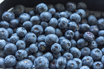Close up of blueberries