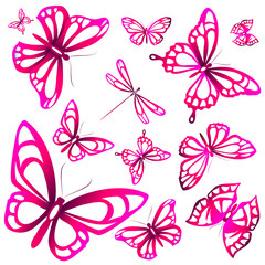 beautiful color butterflies,set, isolated  on a white