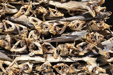 Stockfish in Norway