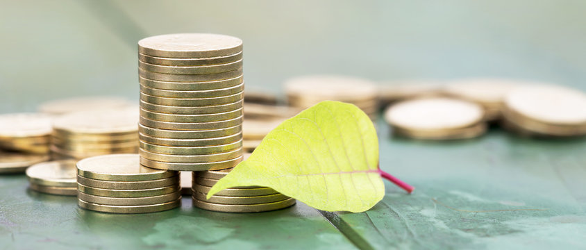 Business coaching concept - web banner of gold coins with a green leaf