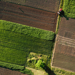 Aerial view from the drone, a bird's eye view of agricultural fields with a road through and a...