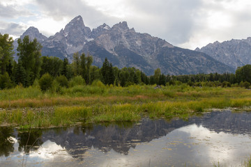 Snake River 6