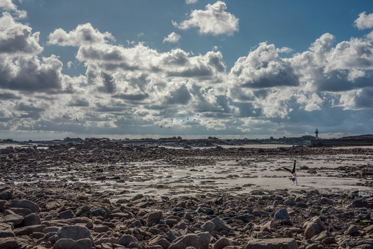 Panoramique Naturel France