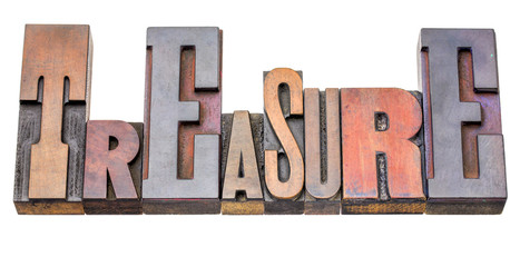 treasure word abstract in wood type