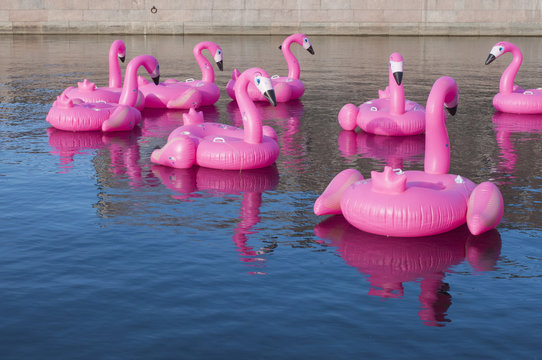 Big inflatable flamingos on the water installation