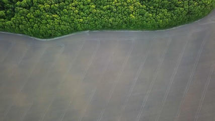 Aerial view from the drone, a bird's eye view to the forest with green spaces and agricultural...