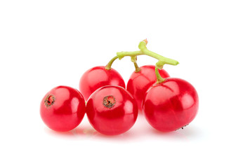Red currant fruits close up on white background.