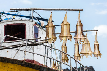 "gata", the codfish of "Camara de Lobos", Madeira island, Portugal.