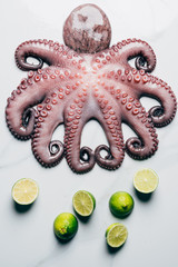 top view of big octopus and limes on light marble surface