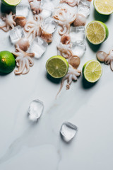 top view of little octopuses with limes and ice cubes on light marble surface