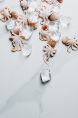 top view of small octopuses with ice cubes on marble surface